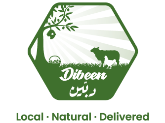 Dibeen